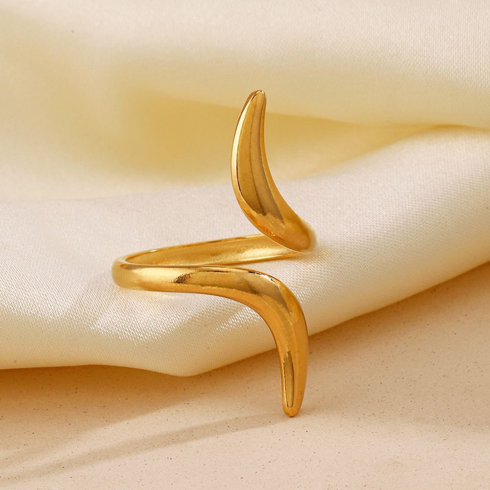 Pure Stainless Steel Ring 316 S2